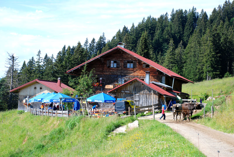 Oberberg Alpe